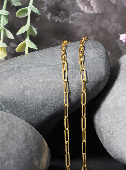 10K Yellow Gold Paperclip Chain (2.5mm) - Ellie Belle