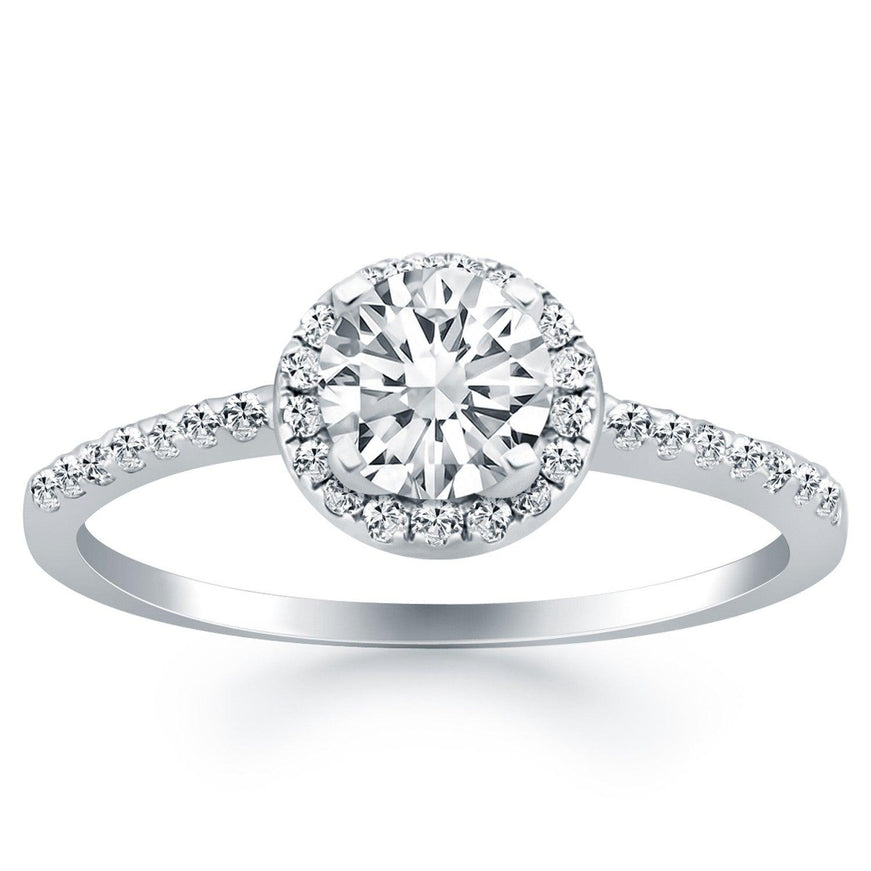 14k White Gold Diamond Halo Collar Engagement Ring - Ellie Belle