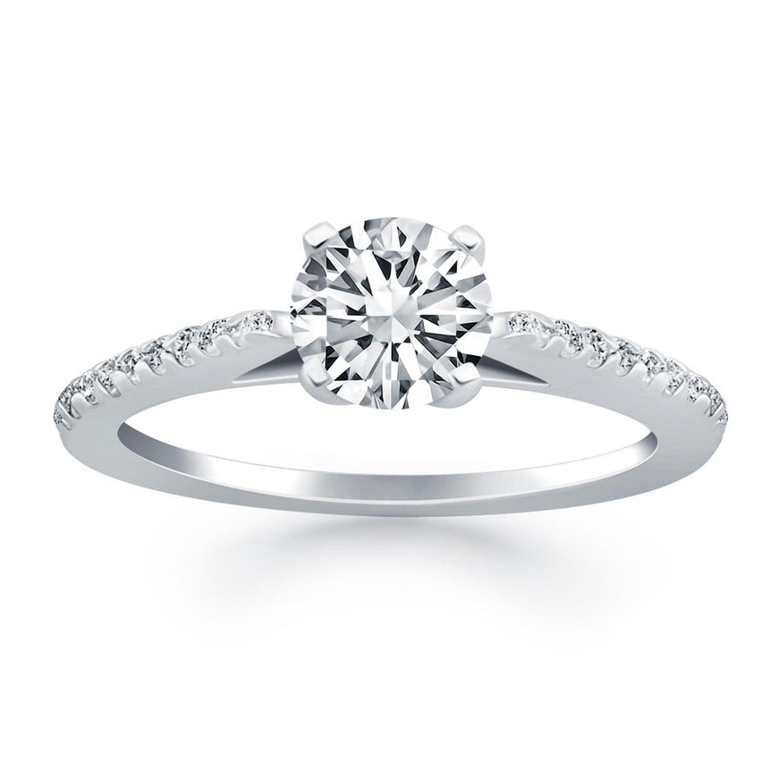 14k White Gold Micro Prong Diamond Cathedral Engagement Ring - Ellie Belle