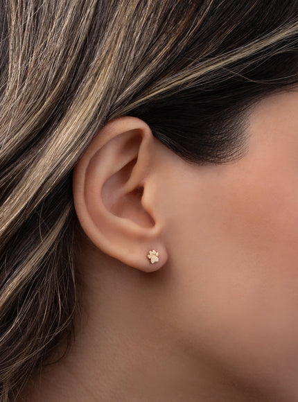 Zoe Lev 14K Gold Tiny Paw Stud Earring