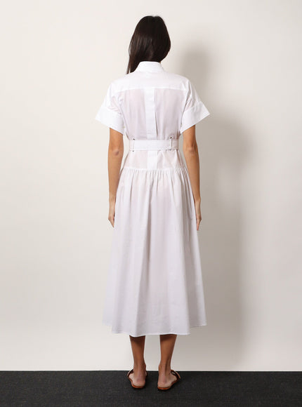 Max Mara Agoraio Cotton Chemisier Dress