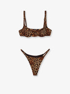 S / Sandleopard