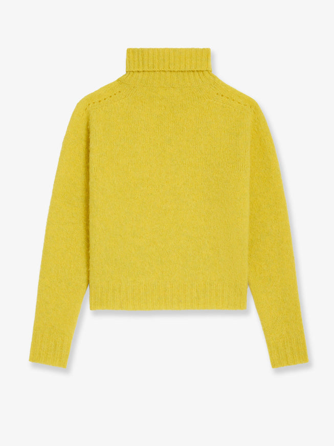 Celine Wool Turtleneck With Triomphe Embroidery