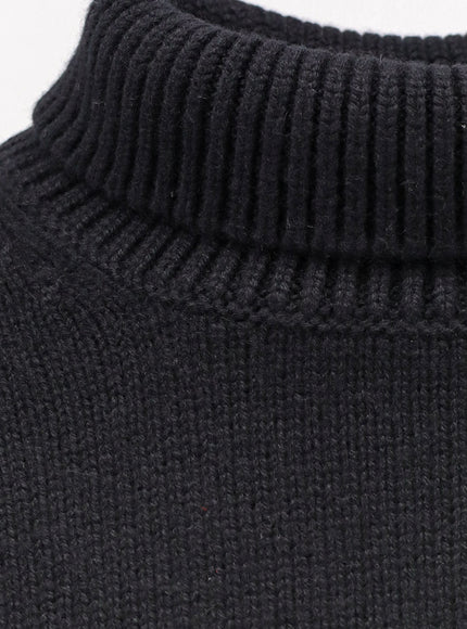 Lisa Yang Heidi Cashmere Turtleneck