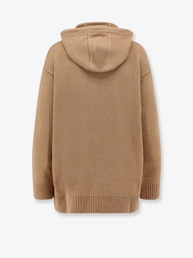 Max Mara Liana Wool And Cashmere Hooded Sweater