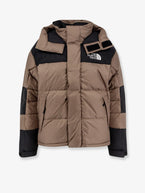 Xs / Brown