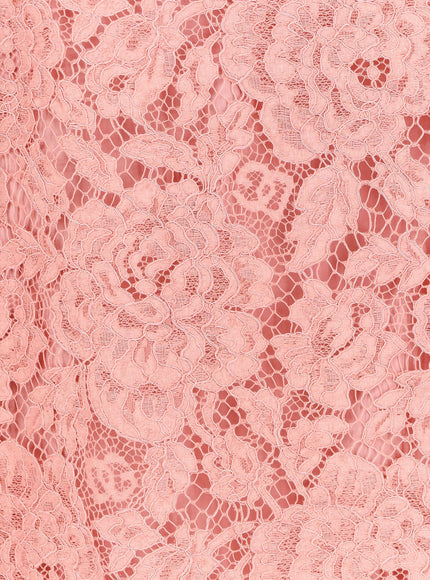 Dolce & Gabbana A Line Dg Floral Lace Dress