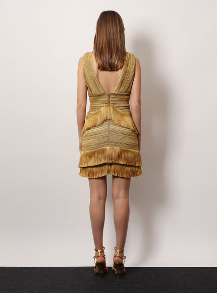 Patbo Pampas Mini Dress With Embroidery And Fringes