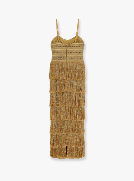Patbo Long Dress With Embroidered Courset And Fringes