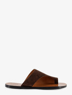 36 / Walnut