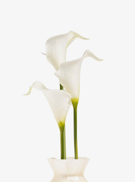 Cult Gaia Florence Acrylic Clutch Bag With Marbled Effect And Calla Lily Detail
