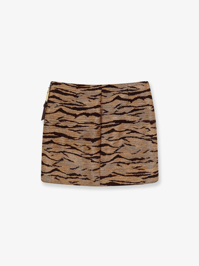 Elisabetta Franchi Embroidered Mini Skirt