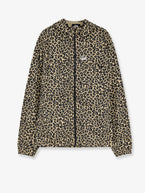 M / Cheetah