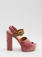 36 / Pink
