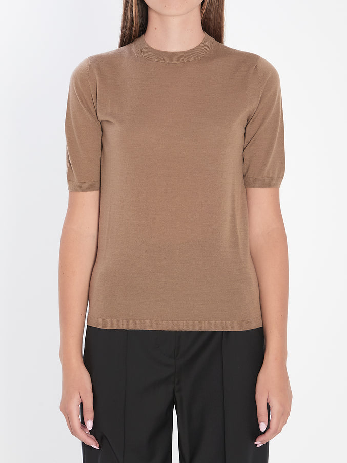 Max Mara Basic Wool Sweater Brown