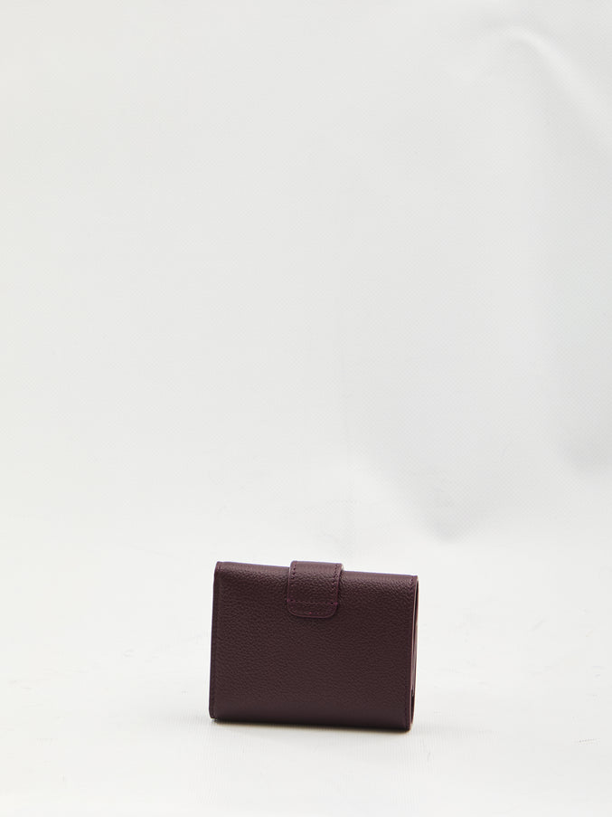 Celine Triomphe Fine Strap Wallet