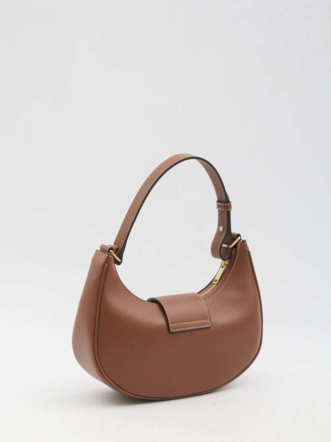 Celine Medium Ava Triomphe Bag