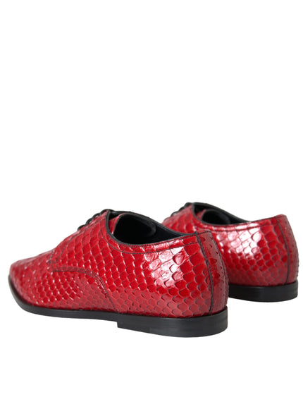 Back view of Dolce & Gabbana red python leather shoes