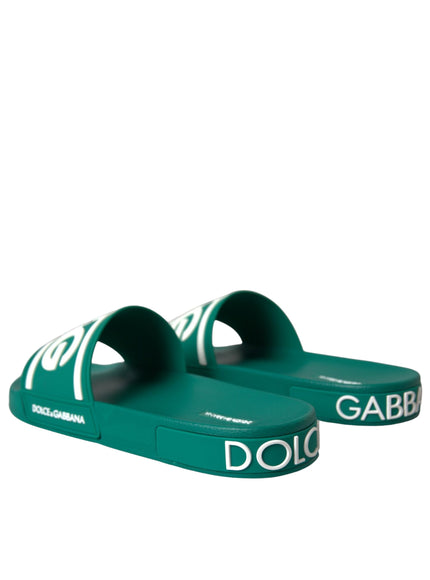 Back view of Dolce & Gabbana green white sandals