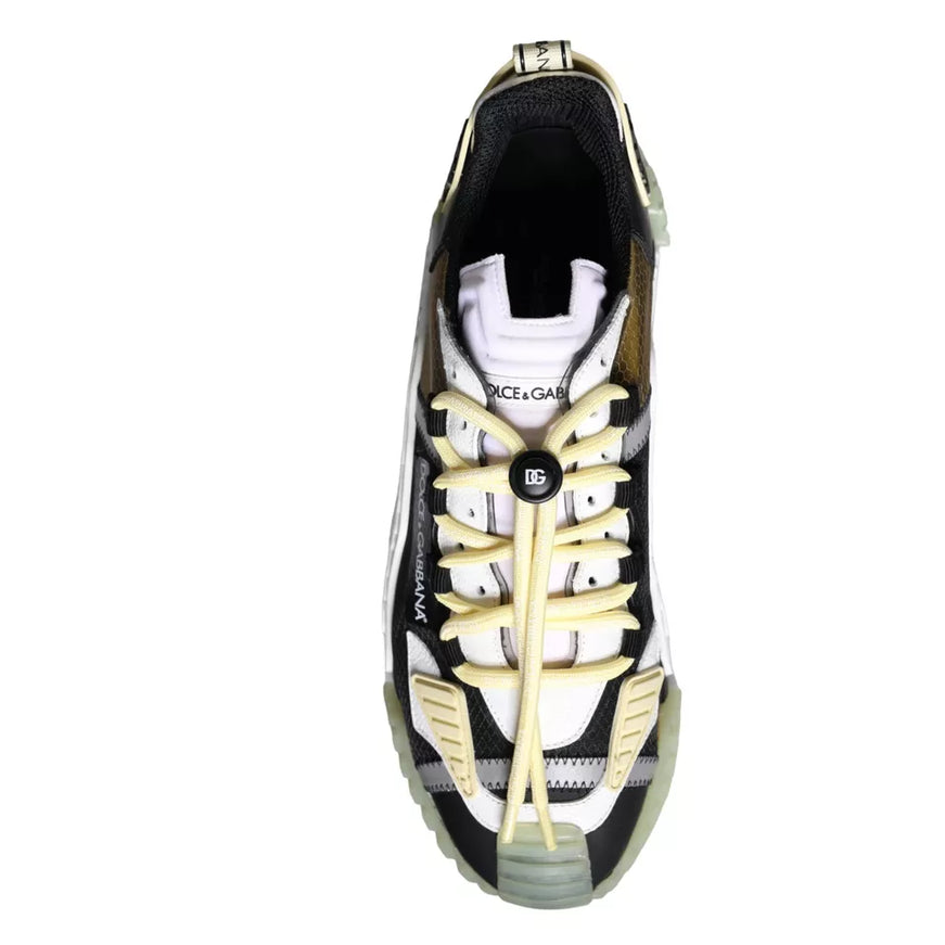 Top view of Dolce & Gabbana NS1 multicolor sneaker