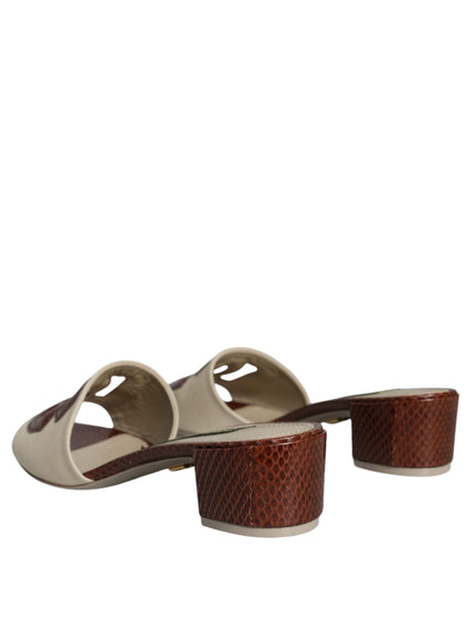 Dolce & Gabbana Logo Sandals In Brown Leather