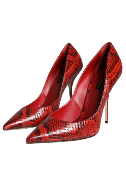 Dolce & Gabbana Python Leather Pumps In Red