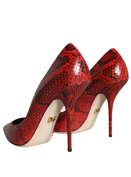 Dolce & Gabbana Python Leather Pumps In Red