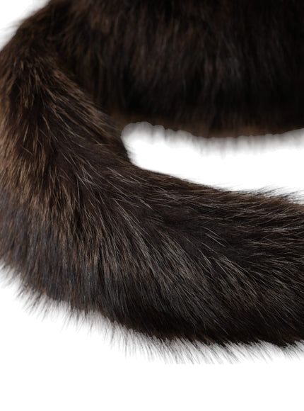 a close up of a cat's tail on a white background