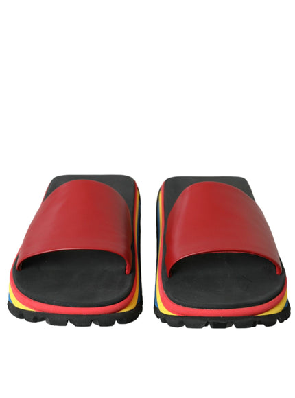 a pair of red and black slippers on a white background