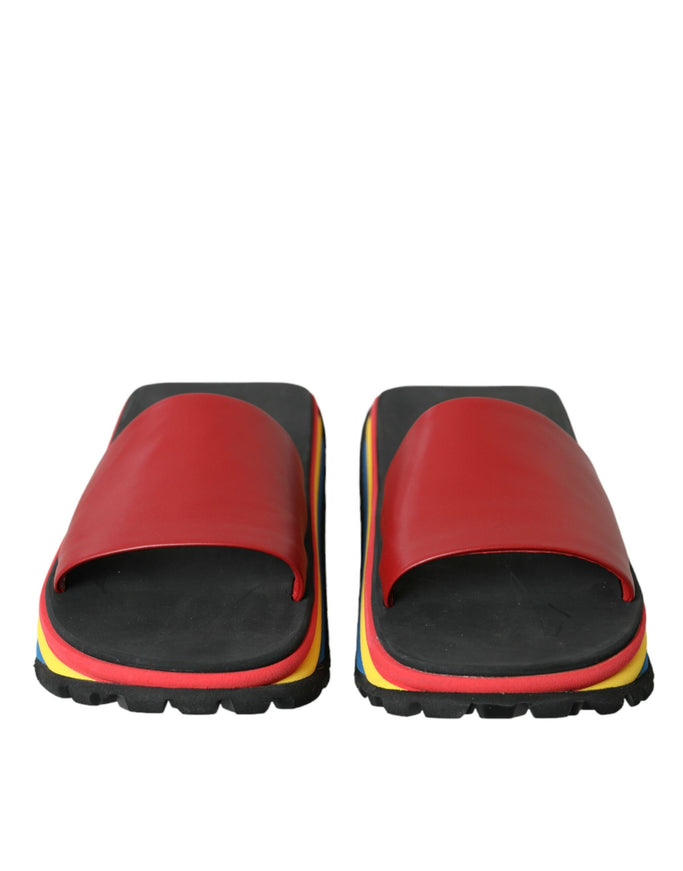 a pair of red and black slippers on a white background