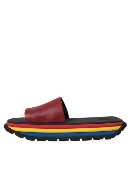 a pair of sandals with a rainbow sole