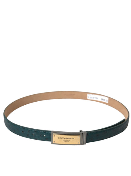 a belt that has a gold buckle on it