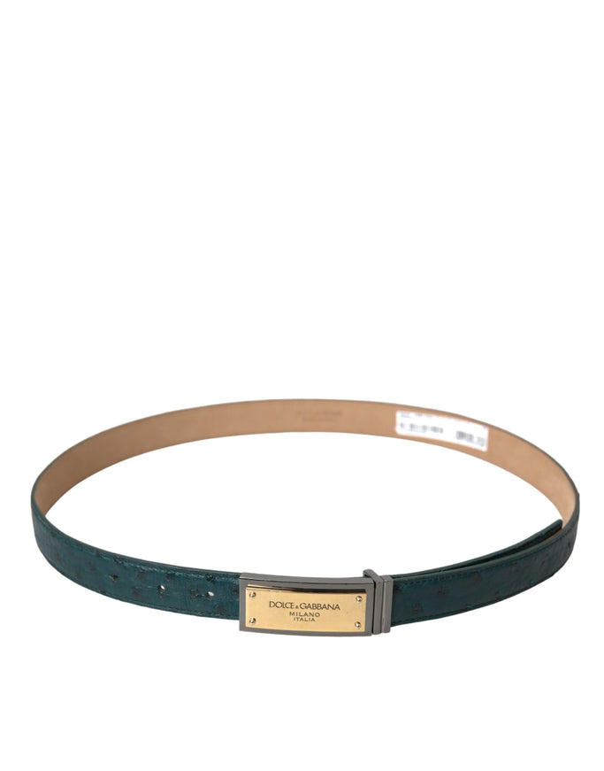 a belt that has a gold buckle on it