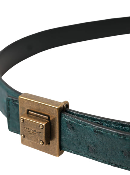 a close up of a belt on a white background