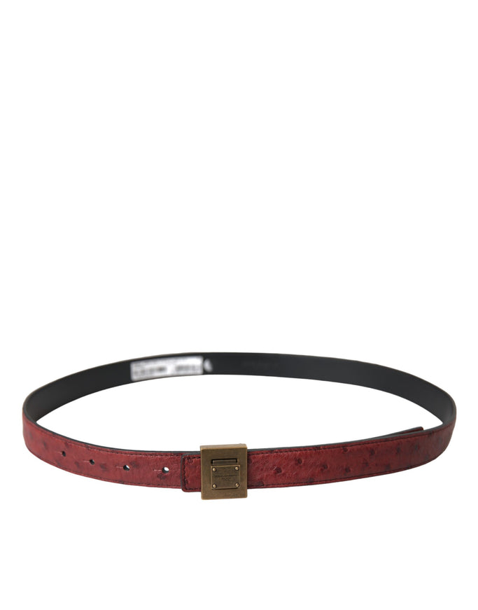 a red belt with a gold buckle on a white background