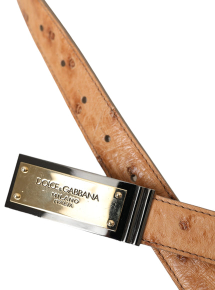 a brown belt with a metal buckle on it