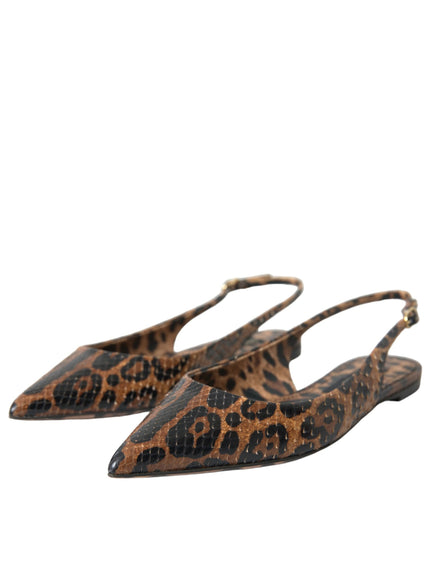 a pair of leopard print shoes on a white background