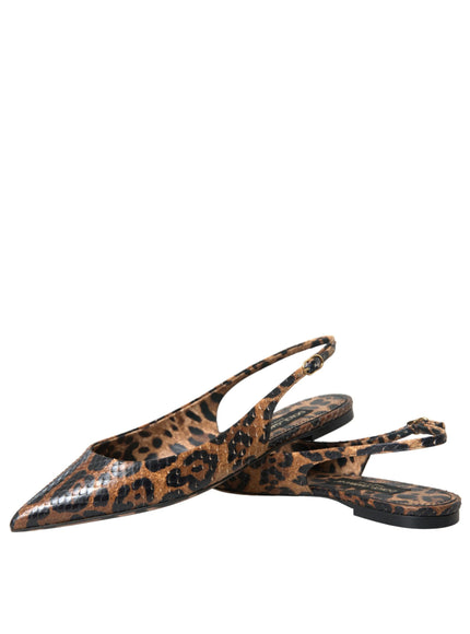 a pair of leopard print shoes on a white background