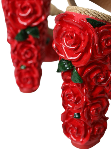 a pair of red roses hanging from a rope