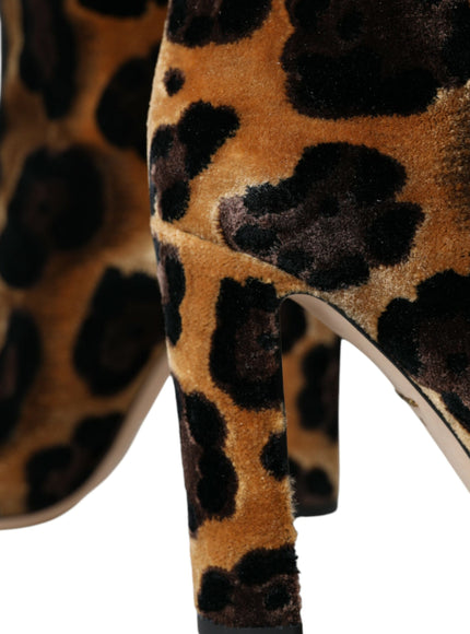 a close up of a pair of leopard print shoes