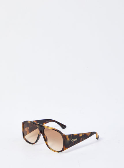 Chloe Havana Sunglasses QT Brown