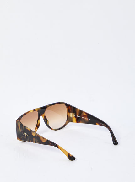 Chloe Havana Sunglasses