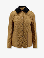 S / Camel