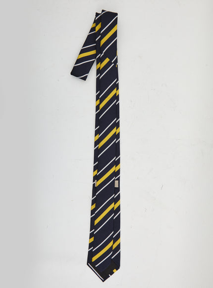 Dior Homme Striped Tie