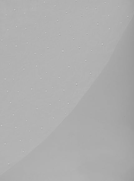 Rosa Clará Beaded Tulle Bridal Veil