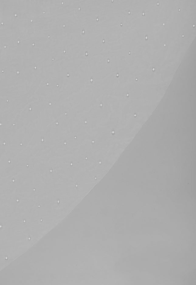 Rosa Clará Beaded Tulle Bridal Veil