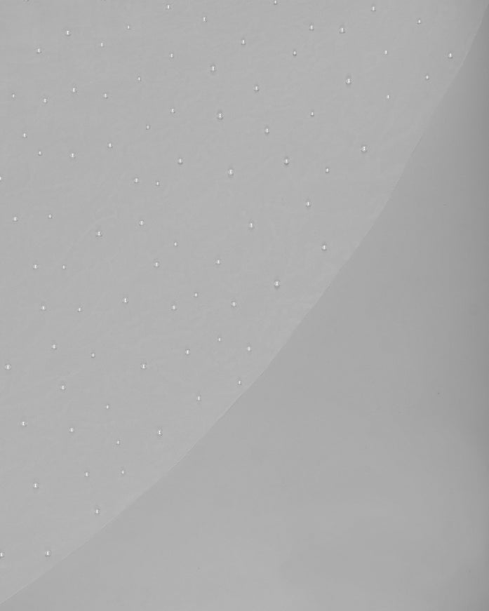 Rosa Clará Beaded Tulle Bridal Veil