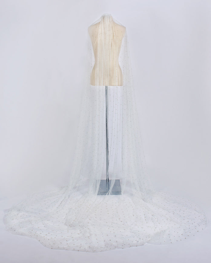 Rosa Clará Beaded Tulle Bridal Veil