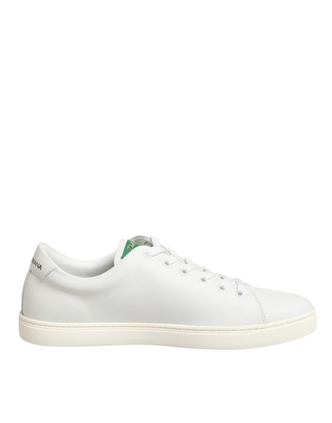 Dolce & Gabbana Rose Embroidery Low-Top Leather Sneakers