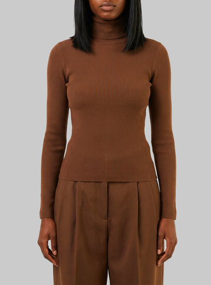 Max Mara Turtleneck In Wool Yarn Brown